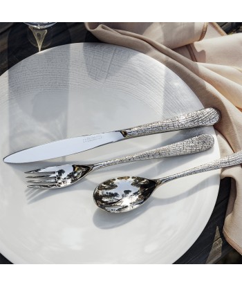 SUPERNATURE MIRROR FINISH Cutlery set for 24 place settings Comparez et commandez 