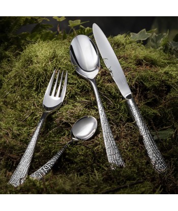 SUPERNATURE MIRROR FINISH Cutlery set for 24 place settings Comparez et commandez 