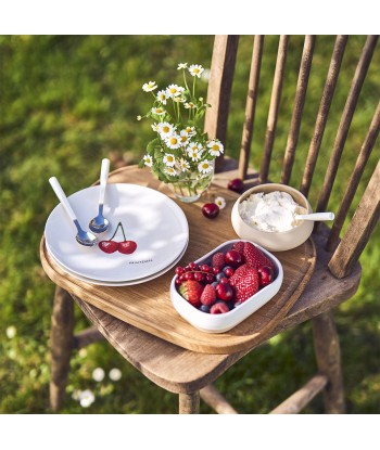 SAISONS Set of 4 plates 19 cm fruits Livraison rapide