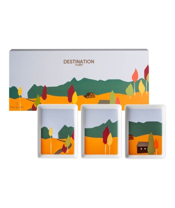 DESTINATION FORET Set of 3 mini dishes 16 x 12 cm la chaussure