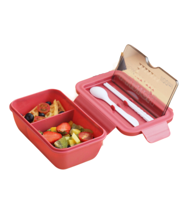 Pack Complet Lunch Box SHARKY prix pour 