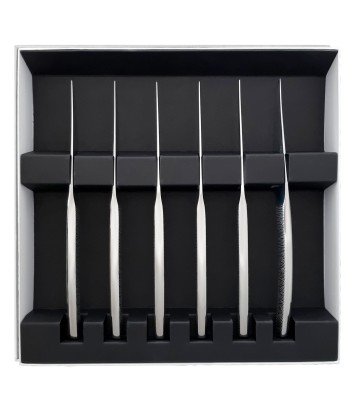 ASTREE CISELE MIRROR FINISH Set of 6 steak knives vente chaude votre 