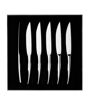 XY MIRROR FINISH Set of 6 steak knives offre 