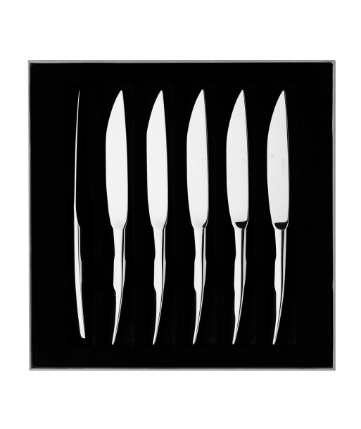 XY MIRROR FINISH Set of 6 steak knives offre 