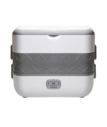 Gray heated lunch box une grave pollution 