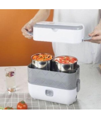 Gray heated lunch box une grave pollution 