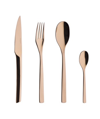 GUEST MIRROR FINISH COOPER COLOR Cutlery set for 24 place settings la colonne vertébrale